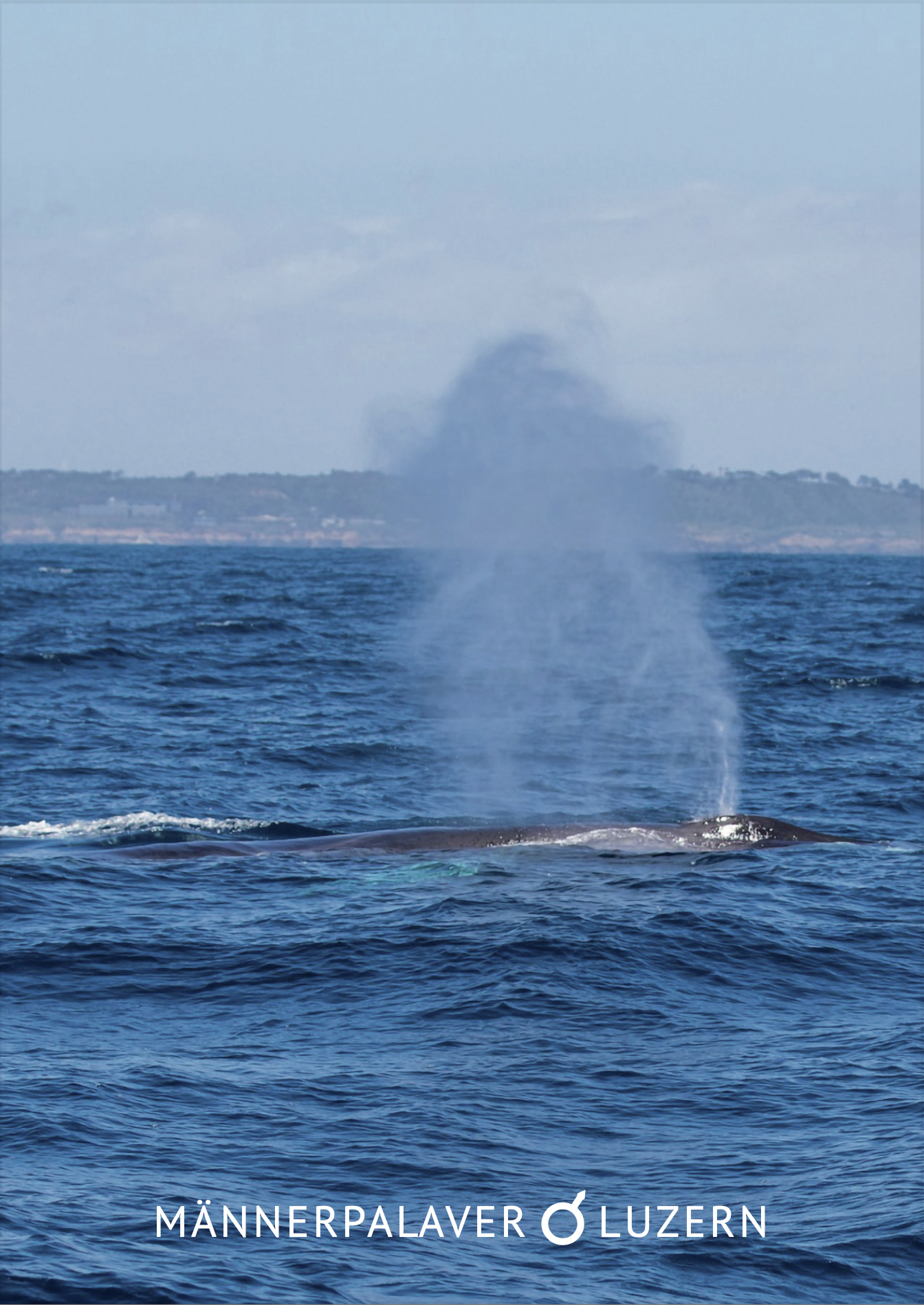 M&auml;nnerpalaver Saison 25/26